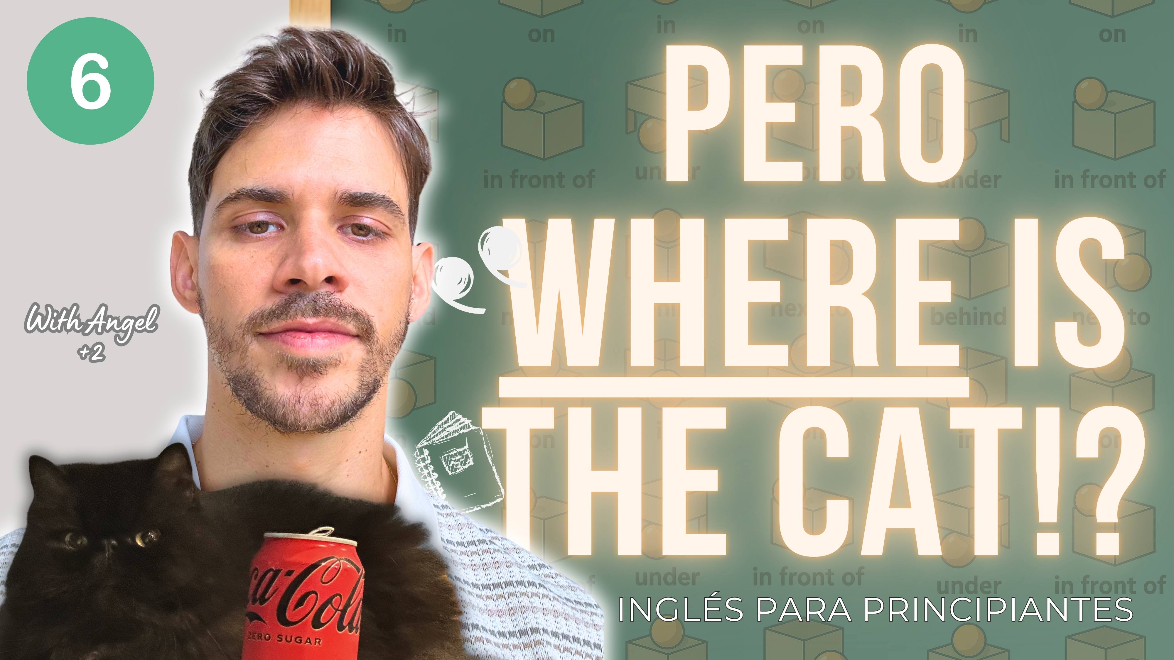 🧑‍🏫 English Course Lesson 6 – Prepositions of Place (In, On, Under, Behind, Next to, Over)